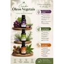 Kit Fortalecimento, Crescimento e Hidratação Capilar 100% Puro  100% puro